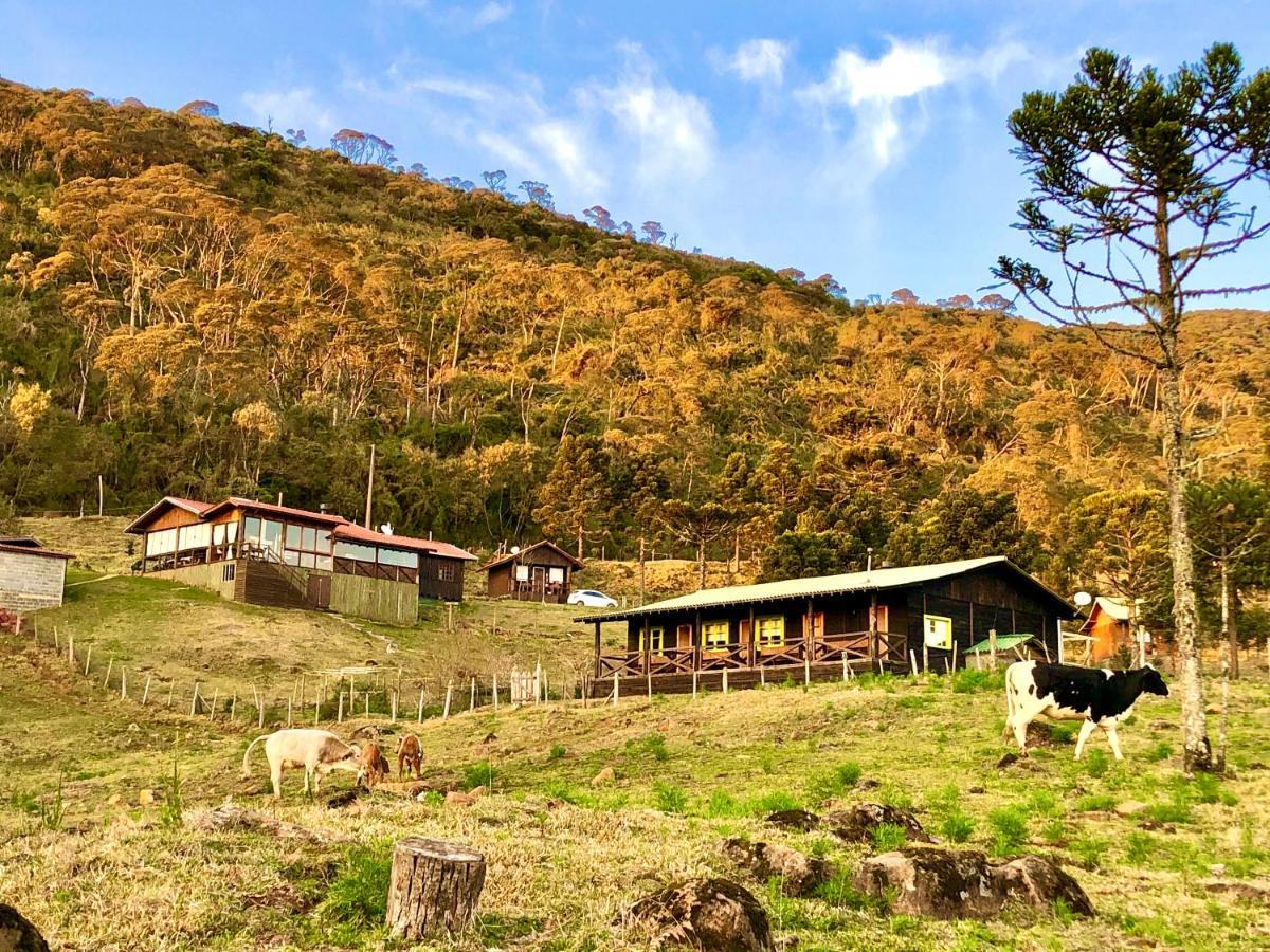 Fazenda Morro Das Torres أروبيما المظهر الخارجي الصورة