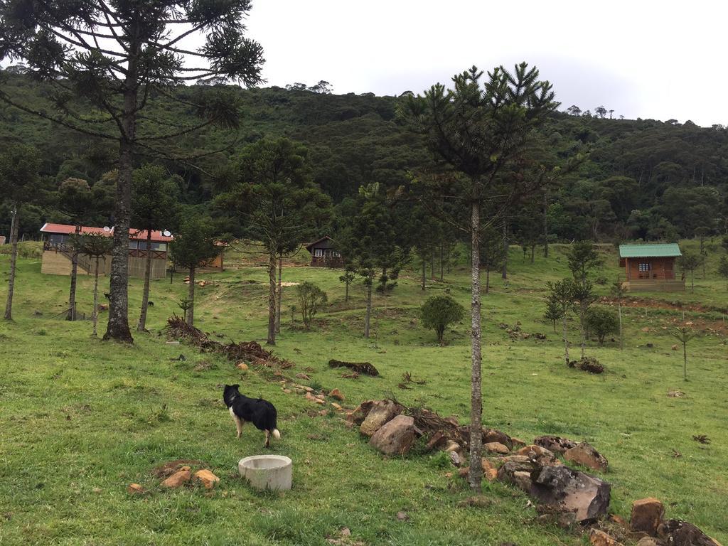 Fazenda Morro Das Torres أروبيما المظهر الخارجي الصورة