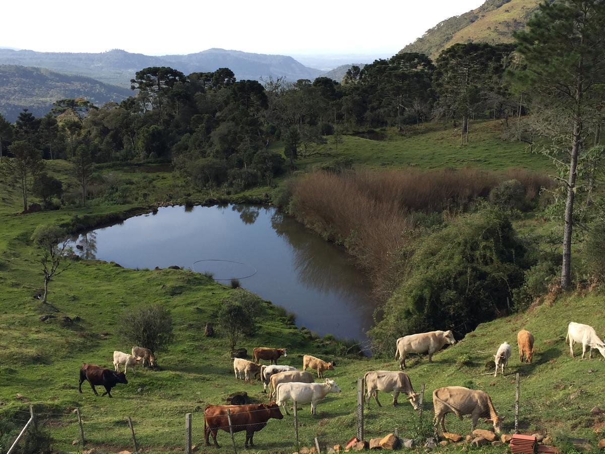 Fazenda Morro Das Torres أروبيما المظهر الخارجي الصورة