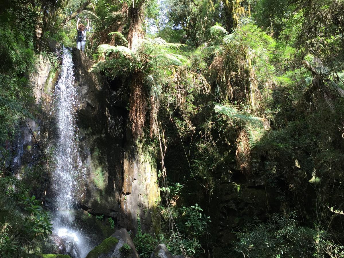 Fazenda Morro Das Torres أروبيما المظهر الخارجي الصورة