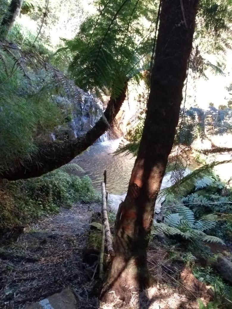 Fazenda Morro Das Torres أروبيما المظهر الخارجي الصورة