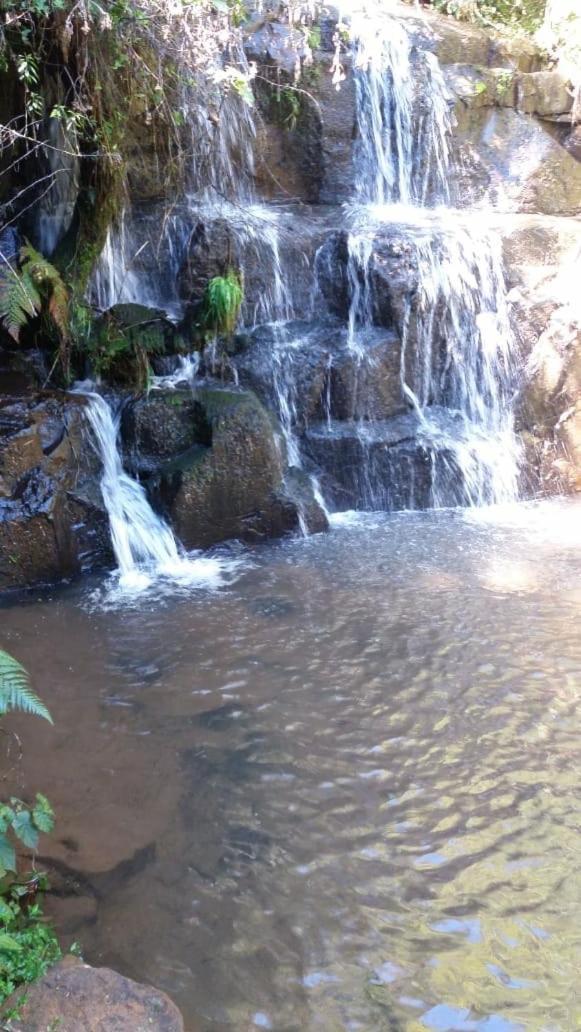 Fazenda Morro Das Torres أروبيما المظهر الخارجي الصورة