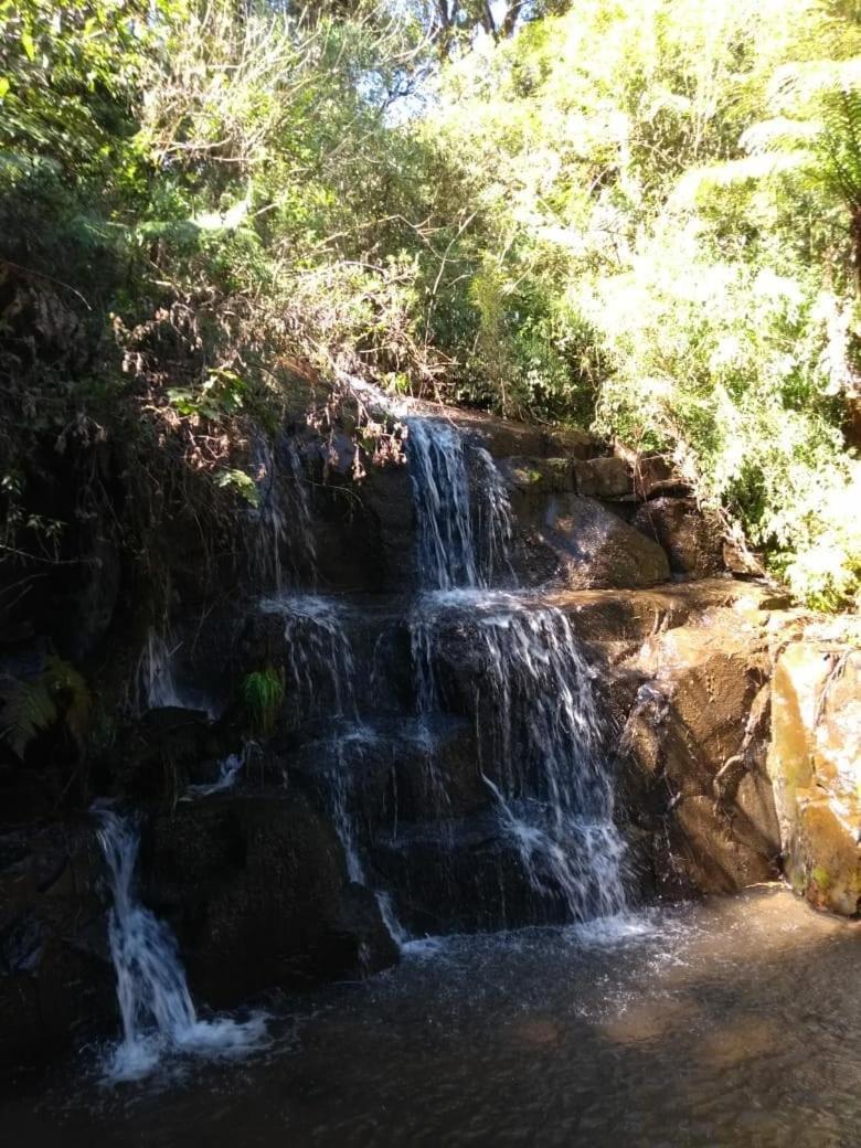 Fazenda Morro Das Torres أروبيما المظهر الخارجي الصورة