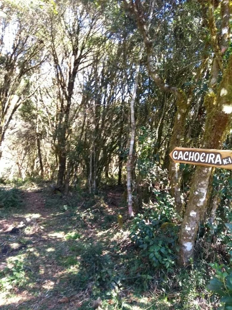 Fazenda Morro Das Torres أروبيما المظهر الخارجي الصورة