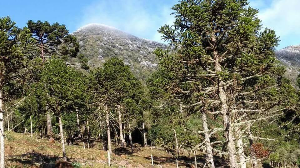Fazenda Morro Das Torres أروبيما المظهر الخارجي الصورة