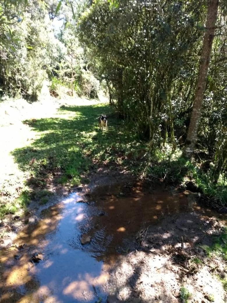 Fazenda Morro Das Torres أروبيما المظهر الخارجي الصورة